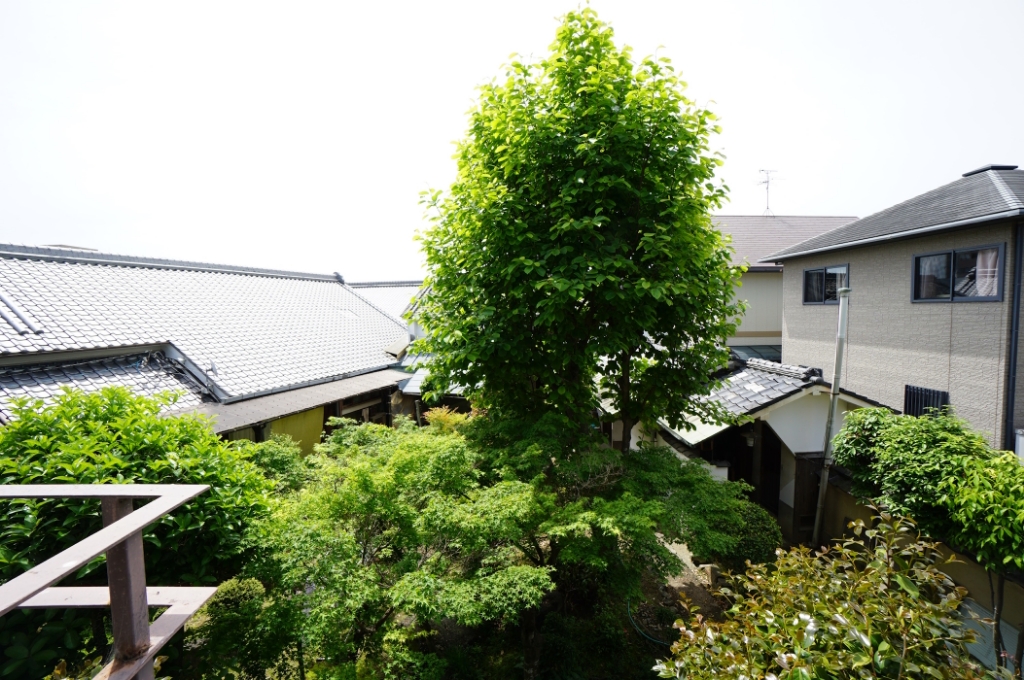 東白マンション その他