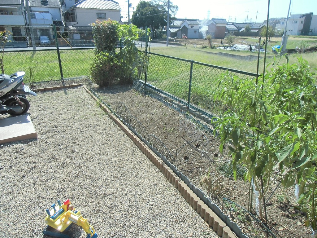 藤原ハイツ その他