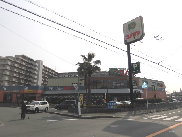 ハイツ８１ その他