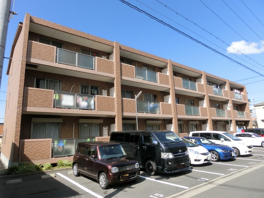 アムールカセイ 外観