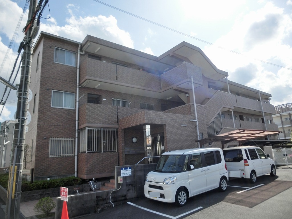 アムールカセイ 外観