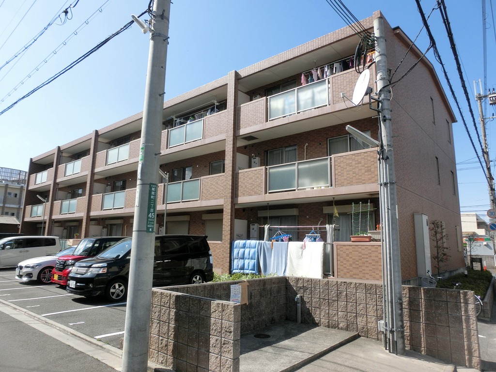 アムールカセイ 外観