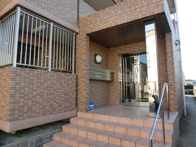 アムールカセイ 外観