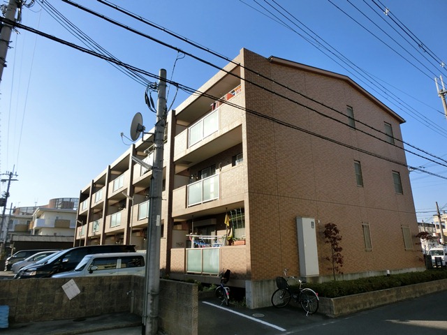 アムールカセイ 外観