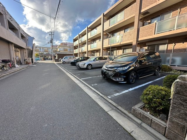 アムールカセイ その他