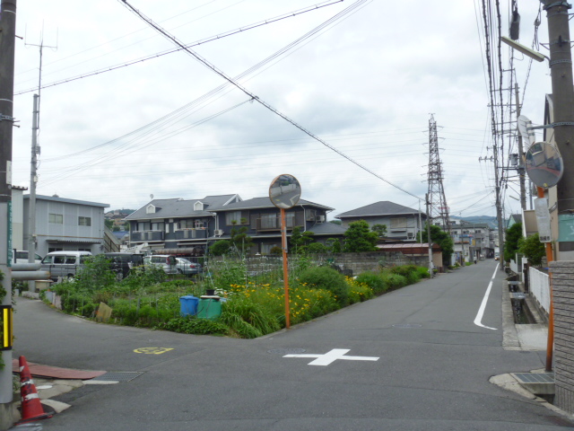 ウェルシィー氷室 その他