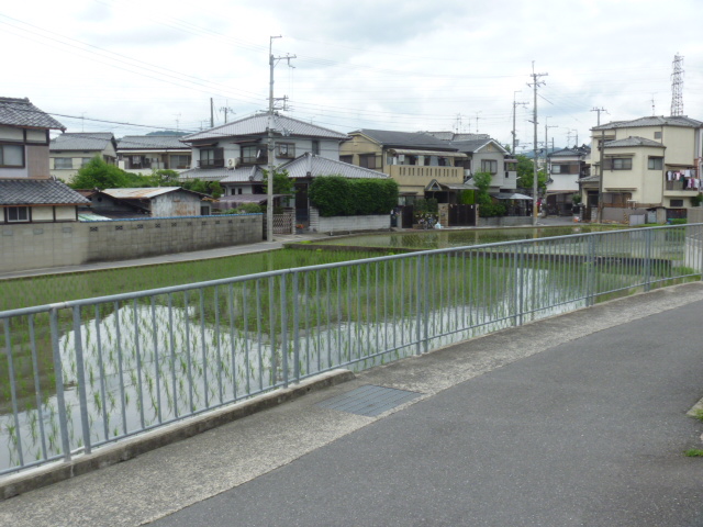 ウェルシィー氷室 その他