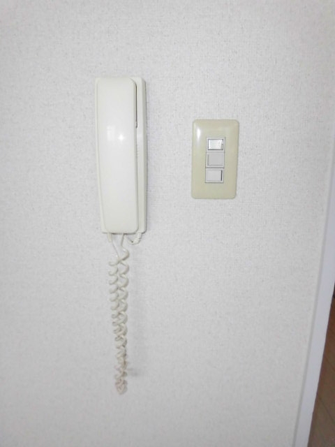 フレーバーフラッツ その他