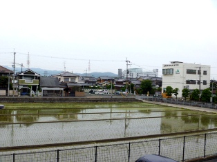 レントリッヒ その他