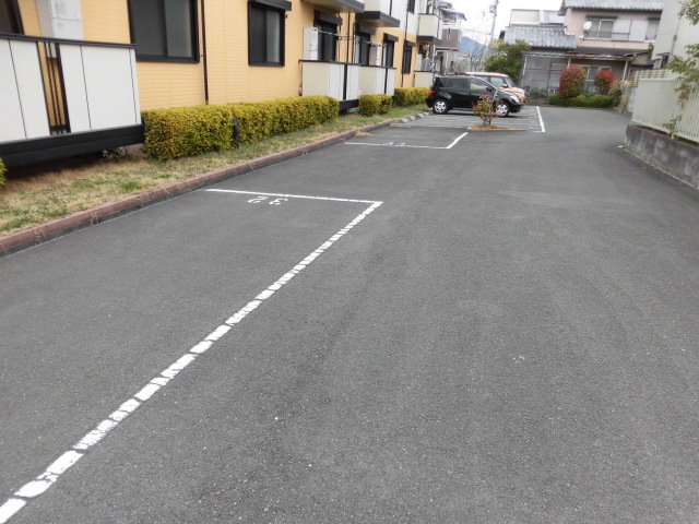 カサブランカ その他