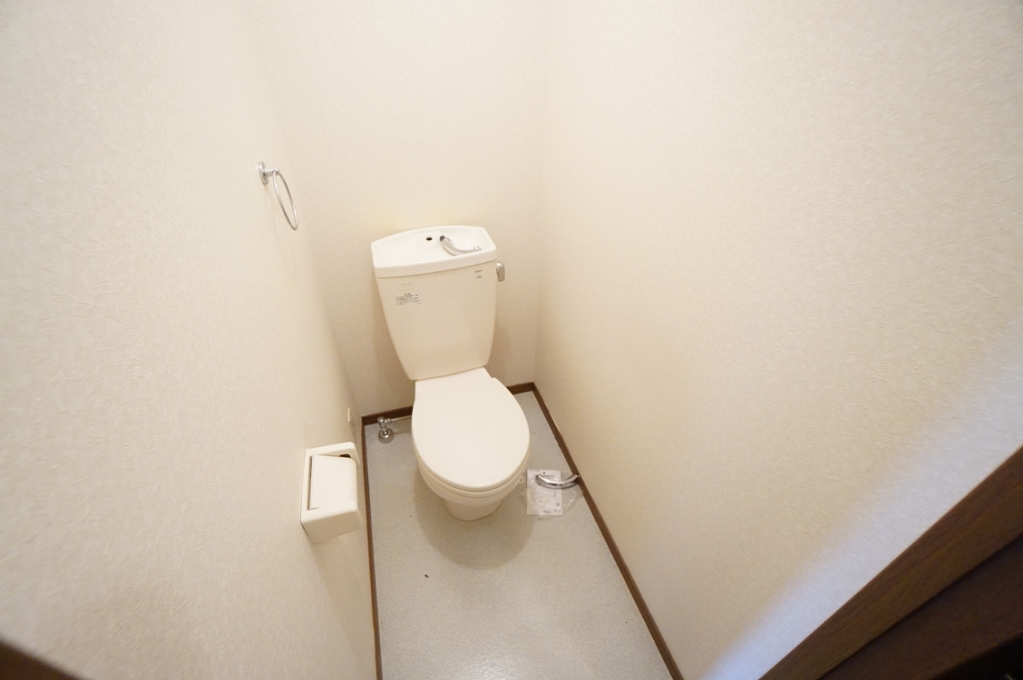 アンプルールフェールオロール その他