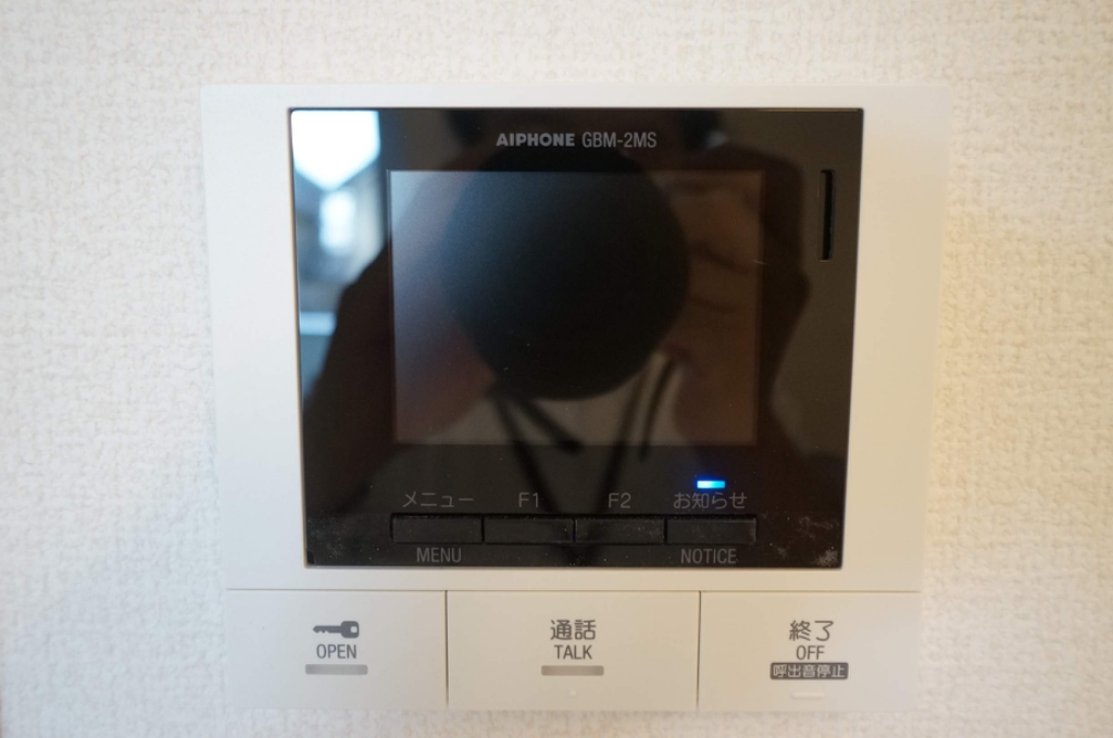 Ｖｅｒｄｉｒ その他