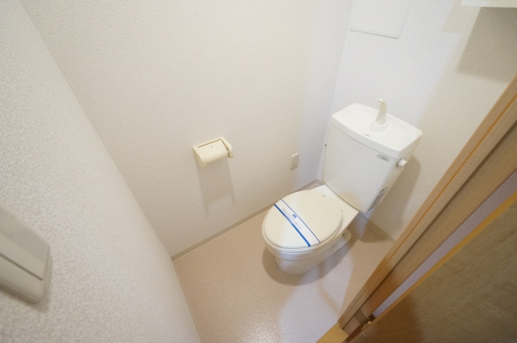 ルーセントベガ その他
