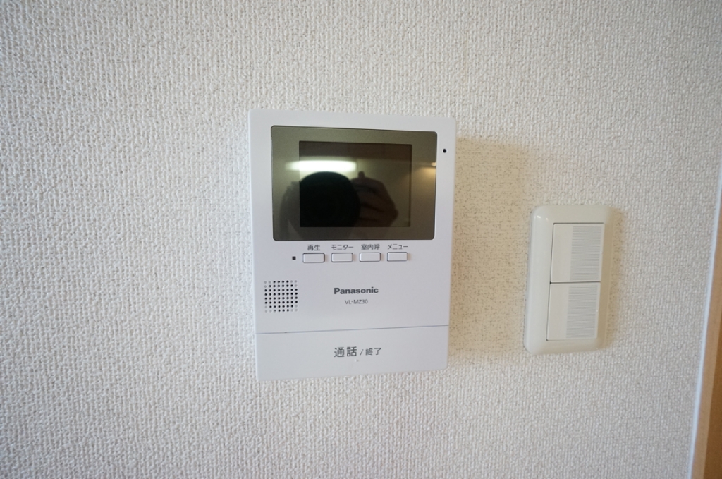 ルーセントベガ その他