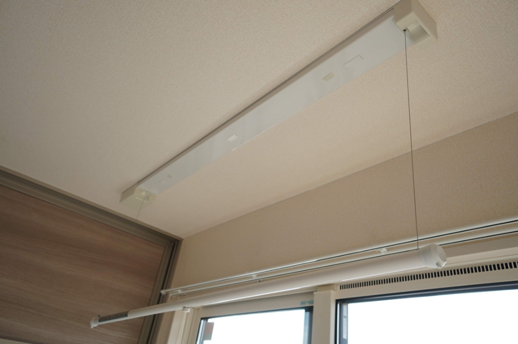 セレシェイラ その他