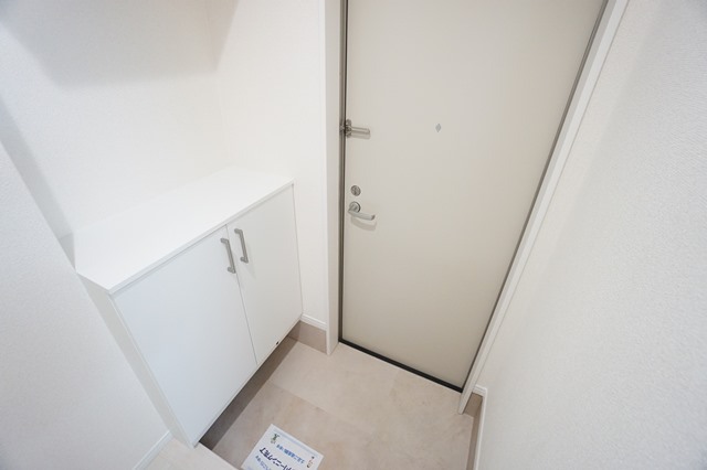 ＤＳ南芥川 その他