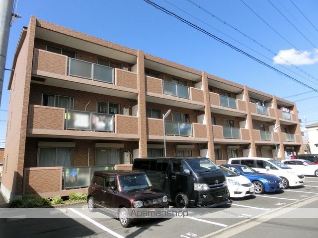 アムールカセイ 外観