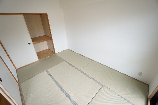 ルミエール その他