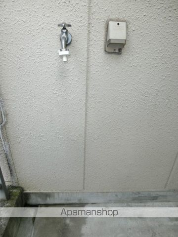 ダンディーＡ その他
