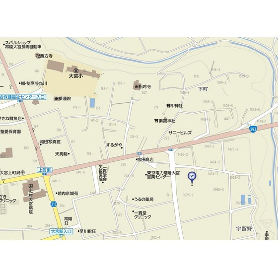 カルス大宮 地図（共通）