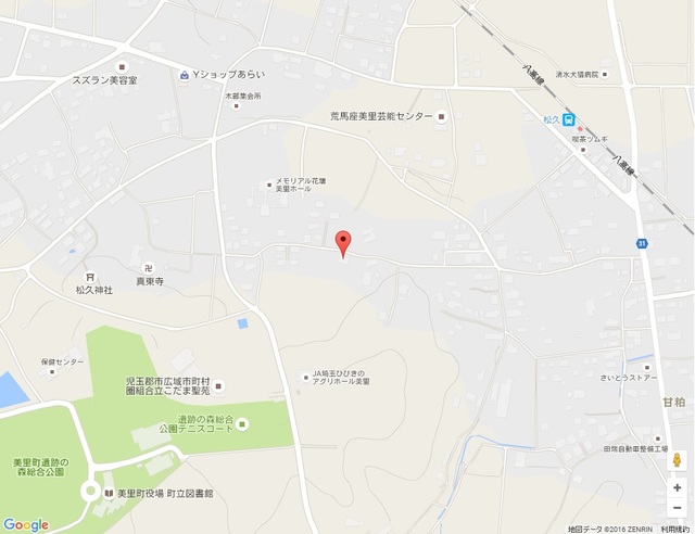 ＧＲＥＥＮ　ＨＩＬＬＳ その他
