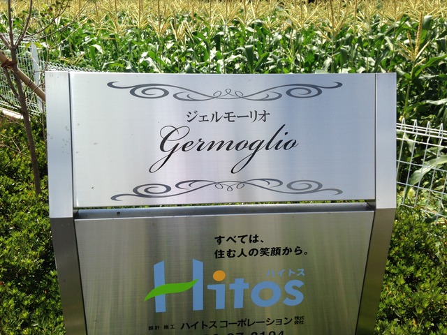 Ｇｅｒｍｏｇｌｉｏ その他