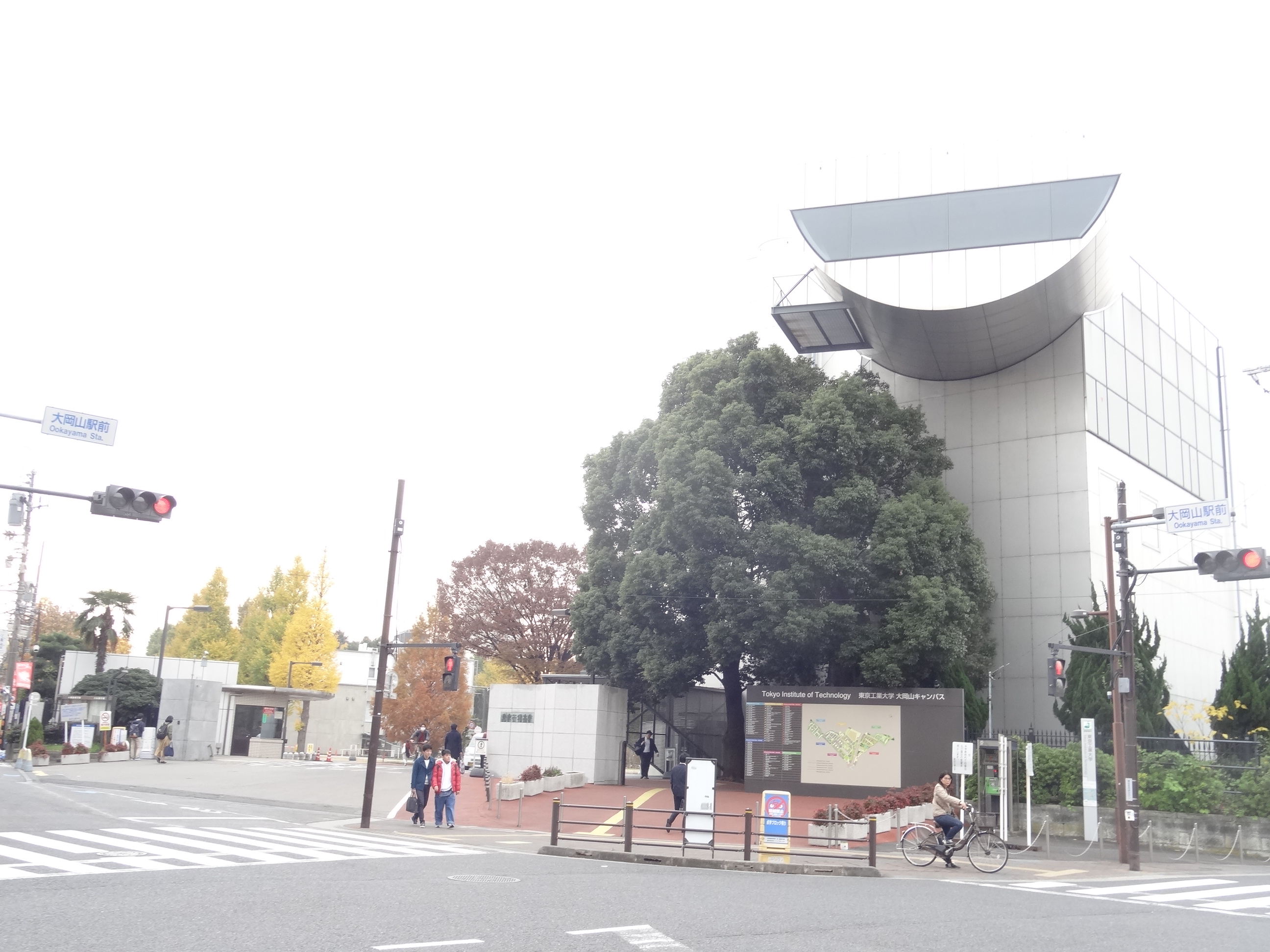 クレール尾山台 大学・短大