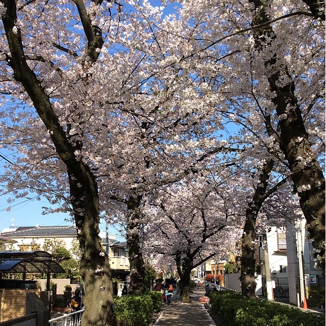 ラークヴィレッジ  公園