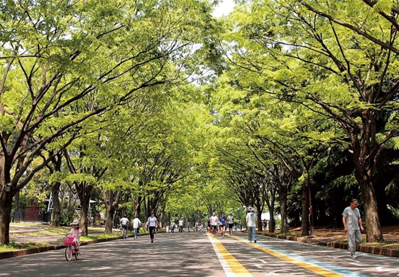 ラークヴィレッジ  公園