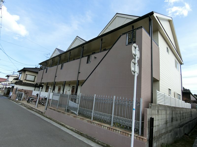 セロリ 外観