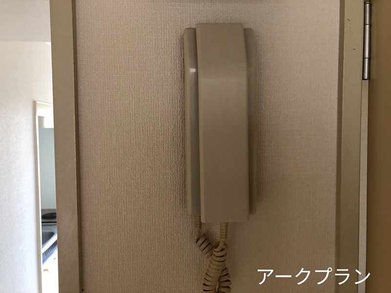 セロリ セキュリティ