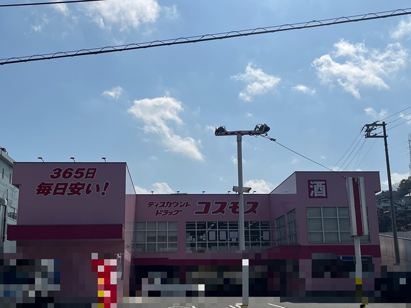 川村様貸家 ドラッグストア