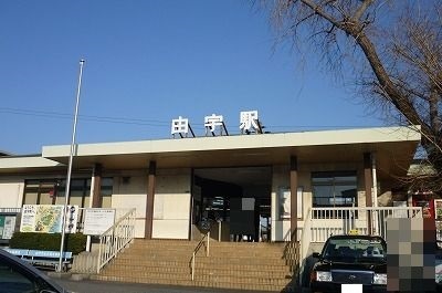 ニューハーバーライト その他