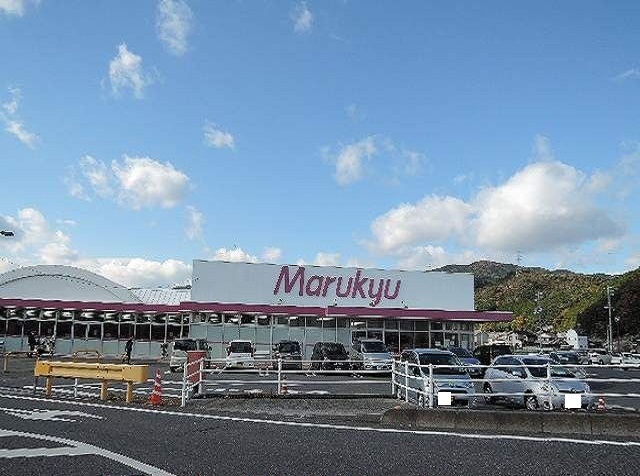 ニューハーバーライト その他