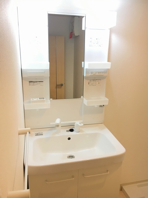 オンフォレスト岩国Ａ 洗面所