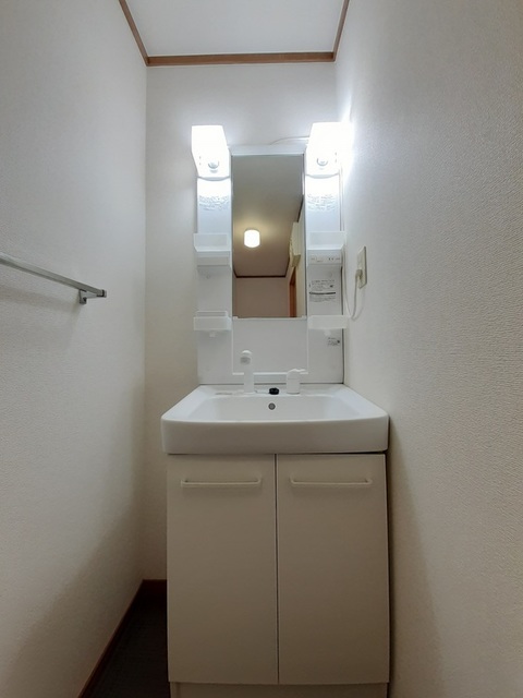 グリーンティエラＢ 洗面所