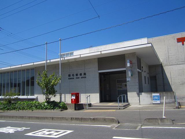グリーンハイム その他