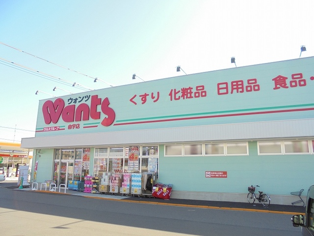 ルミノッサＡ その他