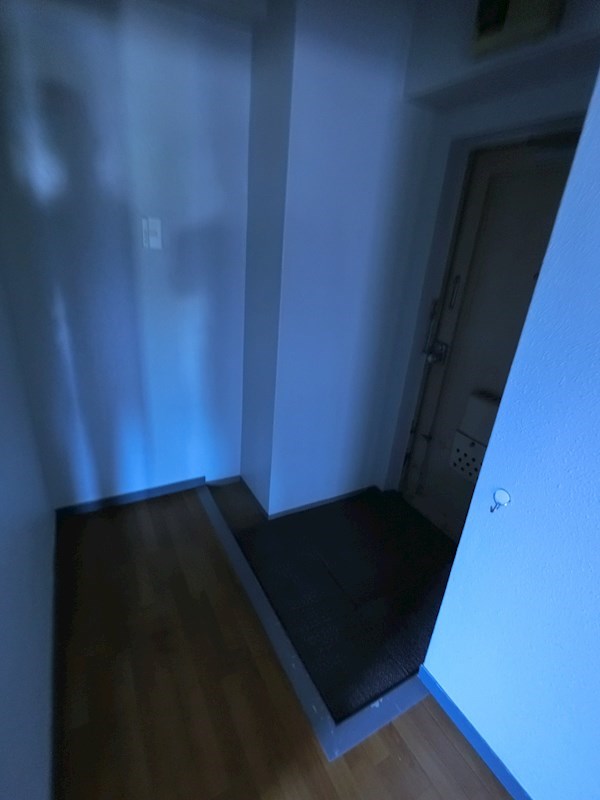 Gerbera Mansion Shioiri（ガーベラマンションシオイリ） 玄関