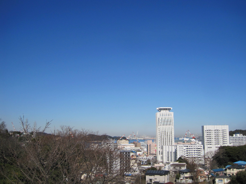 トールハイツ その他1
