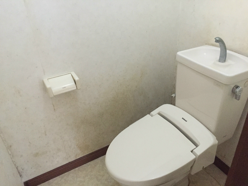 ラピタス・Y その他2