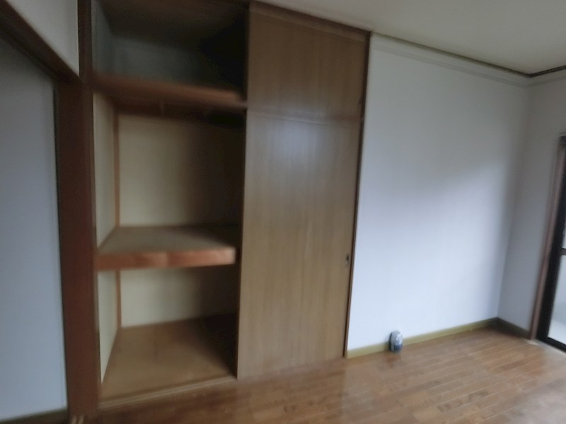 ラピタス・Y その他7