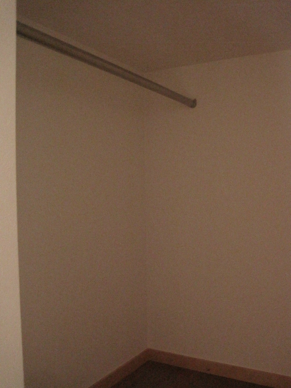 PRIMA classico その他9