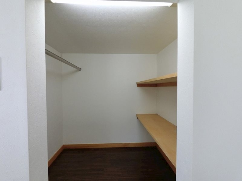 PRIMA classico その他27