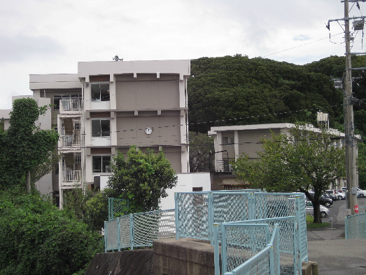 浦賀ハイム 中学校