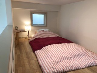 primavera その他5