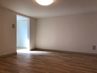 primavera その他8
