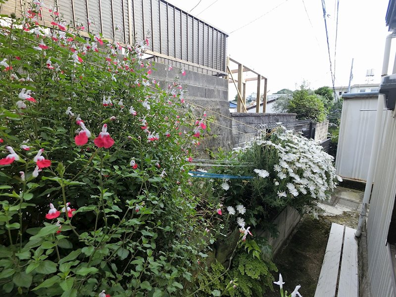 上町大井貸家（2軒長屋） その他9