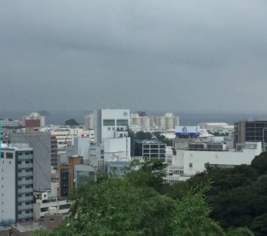 コンフォート緑が丘 その他3