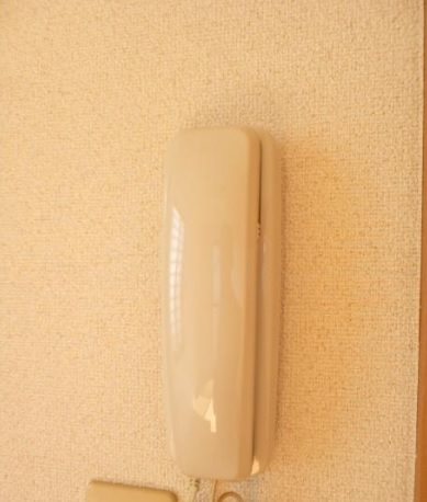 サウスヒル二葉Ⅱ その他5